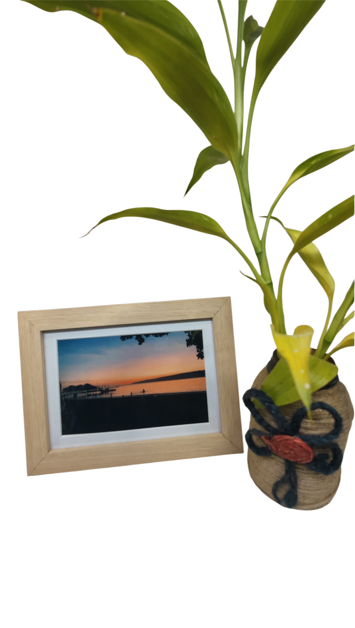 Photo frame
