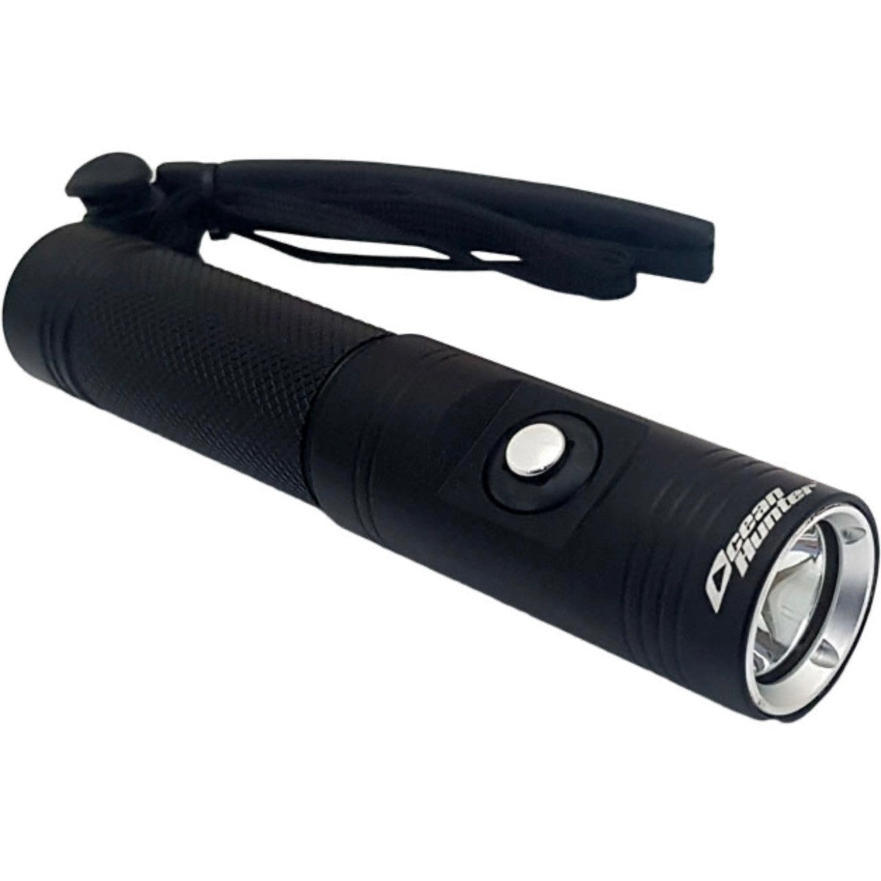 Seeker Torch