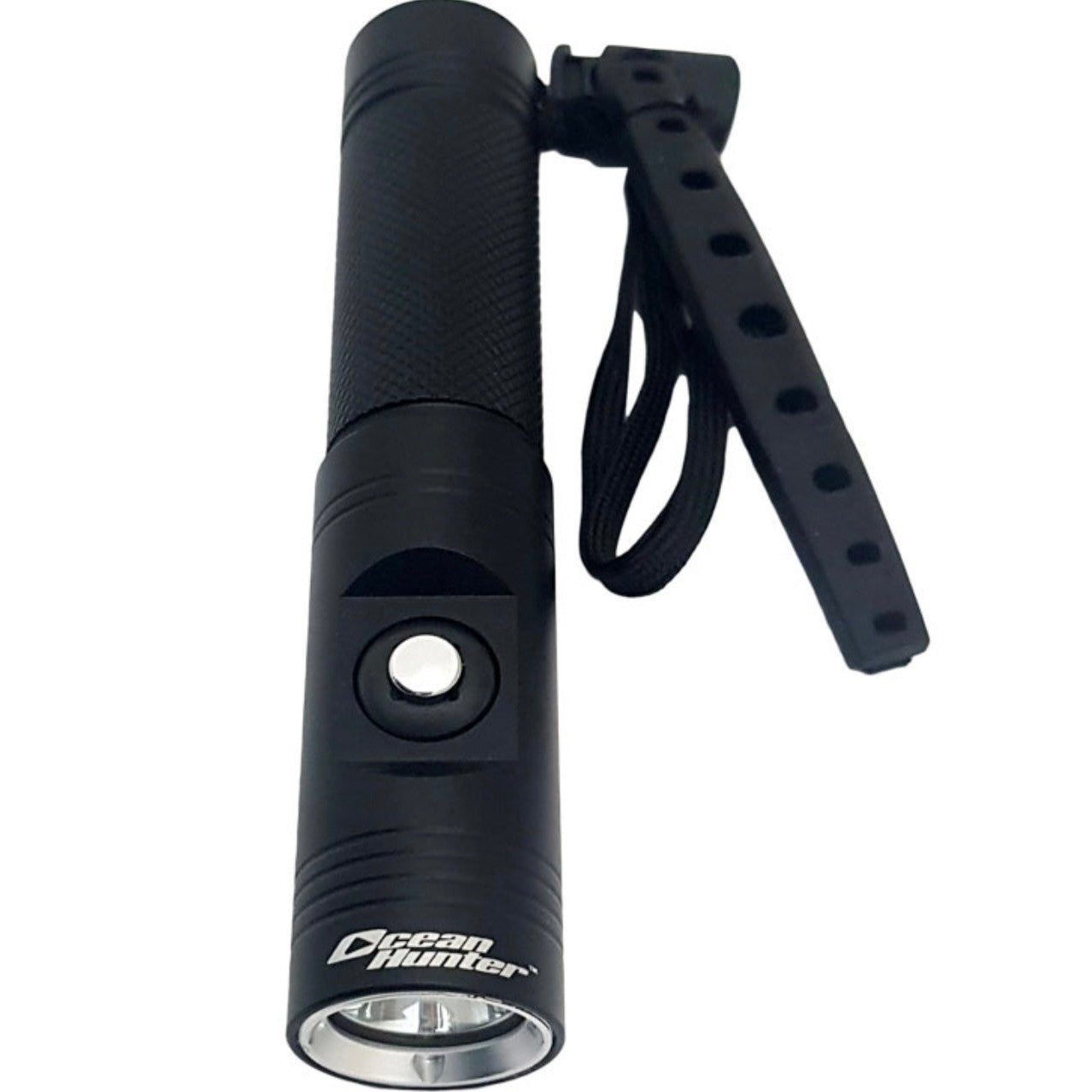 Seeker Torch